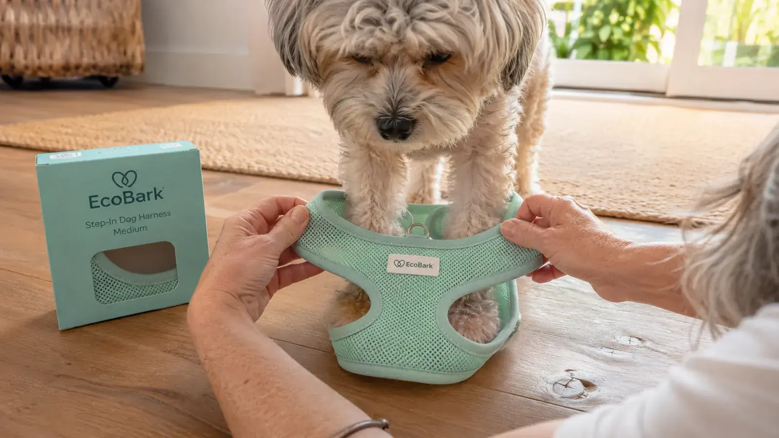 Close-up of a small dog stepping into a mesh harness laid flat on the floor